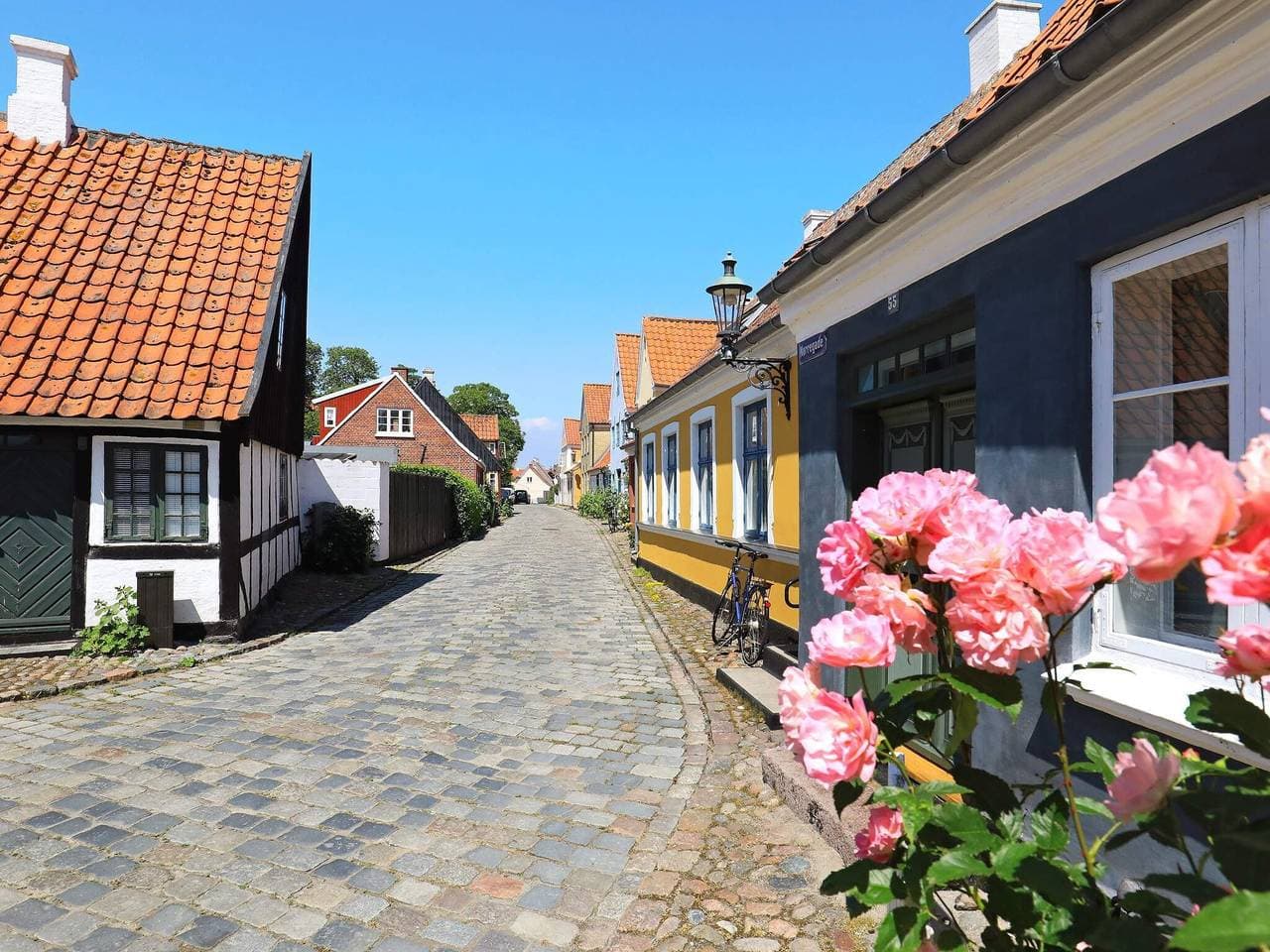 Foto 4 von 39: 3 Personen Ferienhaus in Ærøskøbing