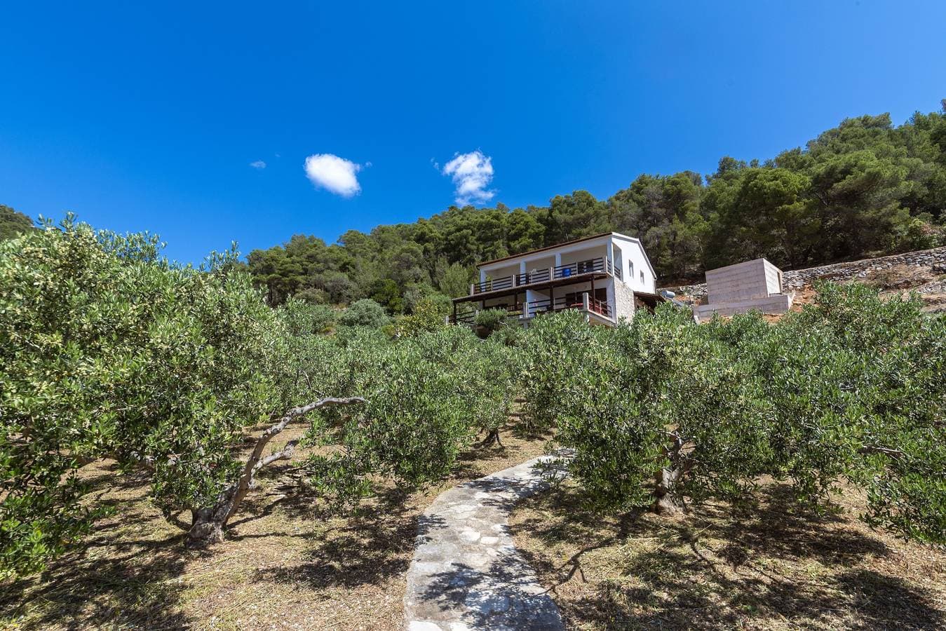 Foto 10 von 39: 2-Zimmer-Ferienwohnung mit Terrasse und Meerblick Bucht Torac, Hvar A-24462-a
