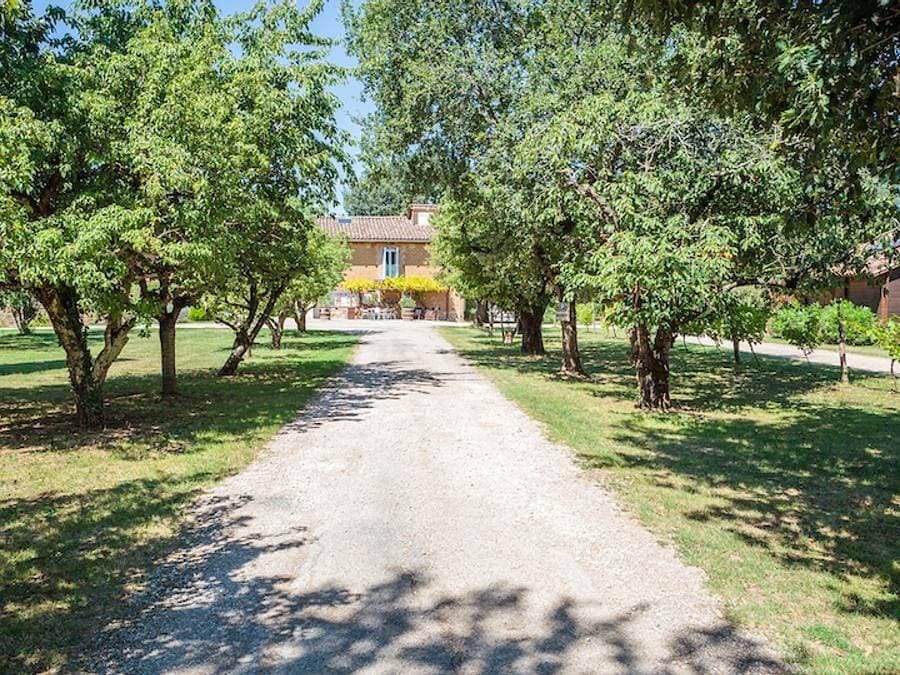 Foto 5 von 45: Les Chalets De Fiolles - Chalet 4 personen - Chalet Pmr Confort - 1 Schlafzimmer - Klimaanlage - TV - BBQ - Reinigung* - 35m2 + überdachte Terrasse von 14m2
