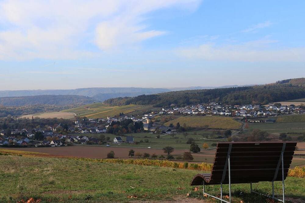 Foto 7 von 14: Ferienwohnung Secco - Weingut-Ferienwohnungen Lorenz - nur Urlaubsgäste