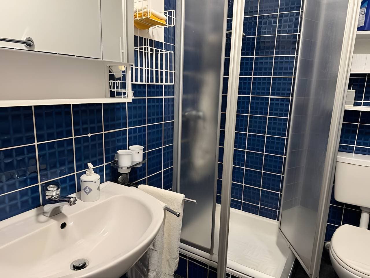 Foto 7 von 14: Apartment 'Terrassenappartment im Harz' mit Bergblick, privater Terrasse und WLAN