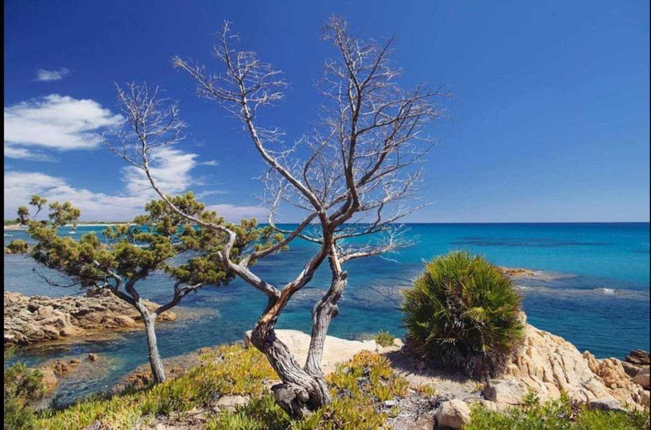 Casa Cristina appartamento in villa trifamiliare a 20 mt dalla spiaggia clima wi-fi bbq 1