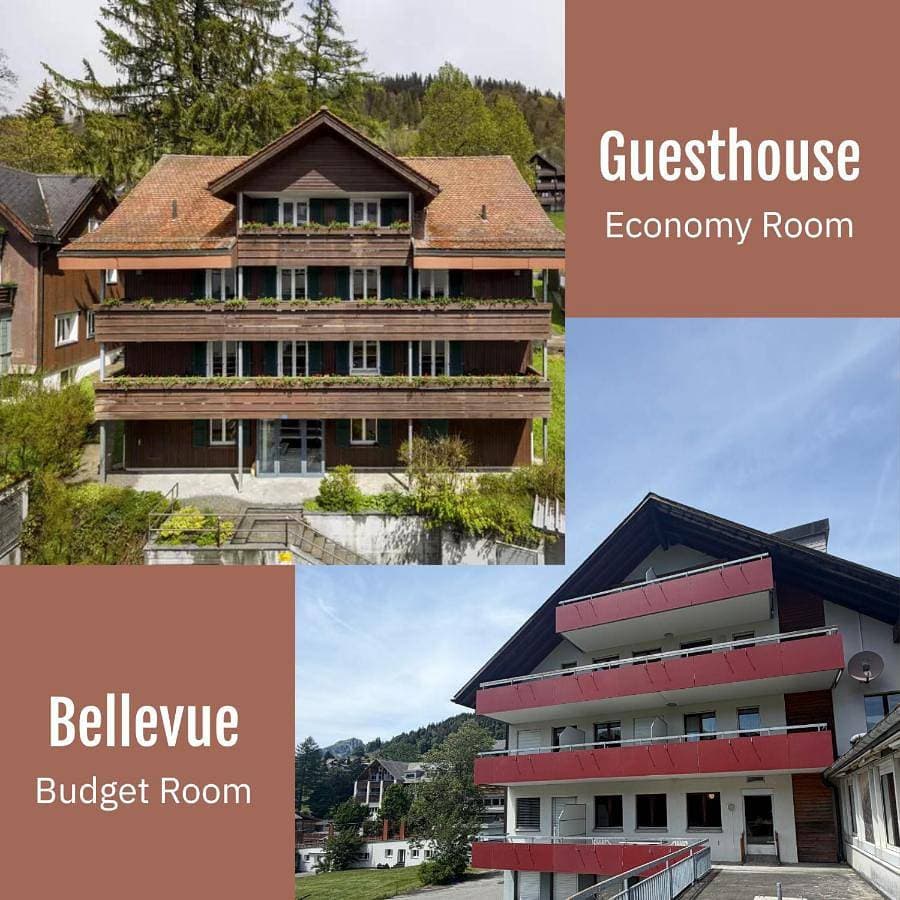 Hirschen Guesthouse - Village Hotel 1