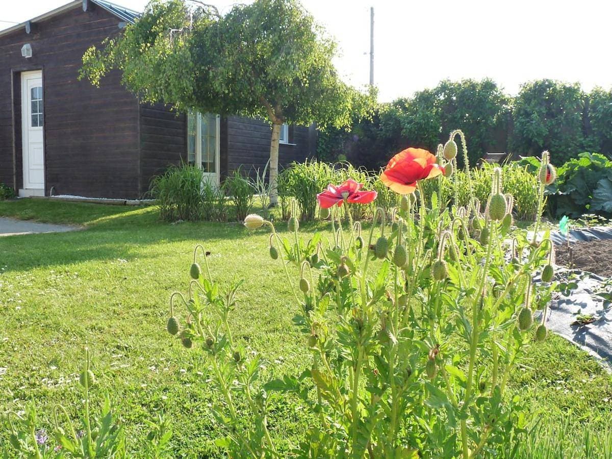 Abri Côtier gîte au calme 1